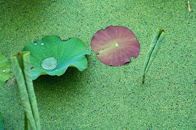 《盟军敢死队：起源》玩法概述预告 年内发售